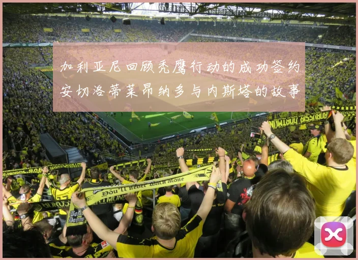 加利亚尼回顾秃鹰行动的成功签约安切洛蒂莱昂纳多与内斯塔的故事