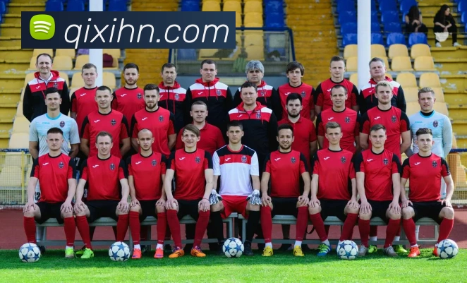 星空平台生态图